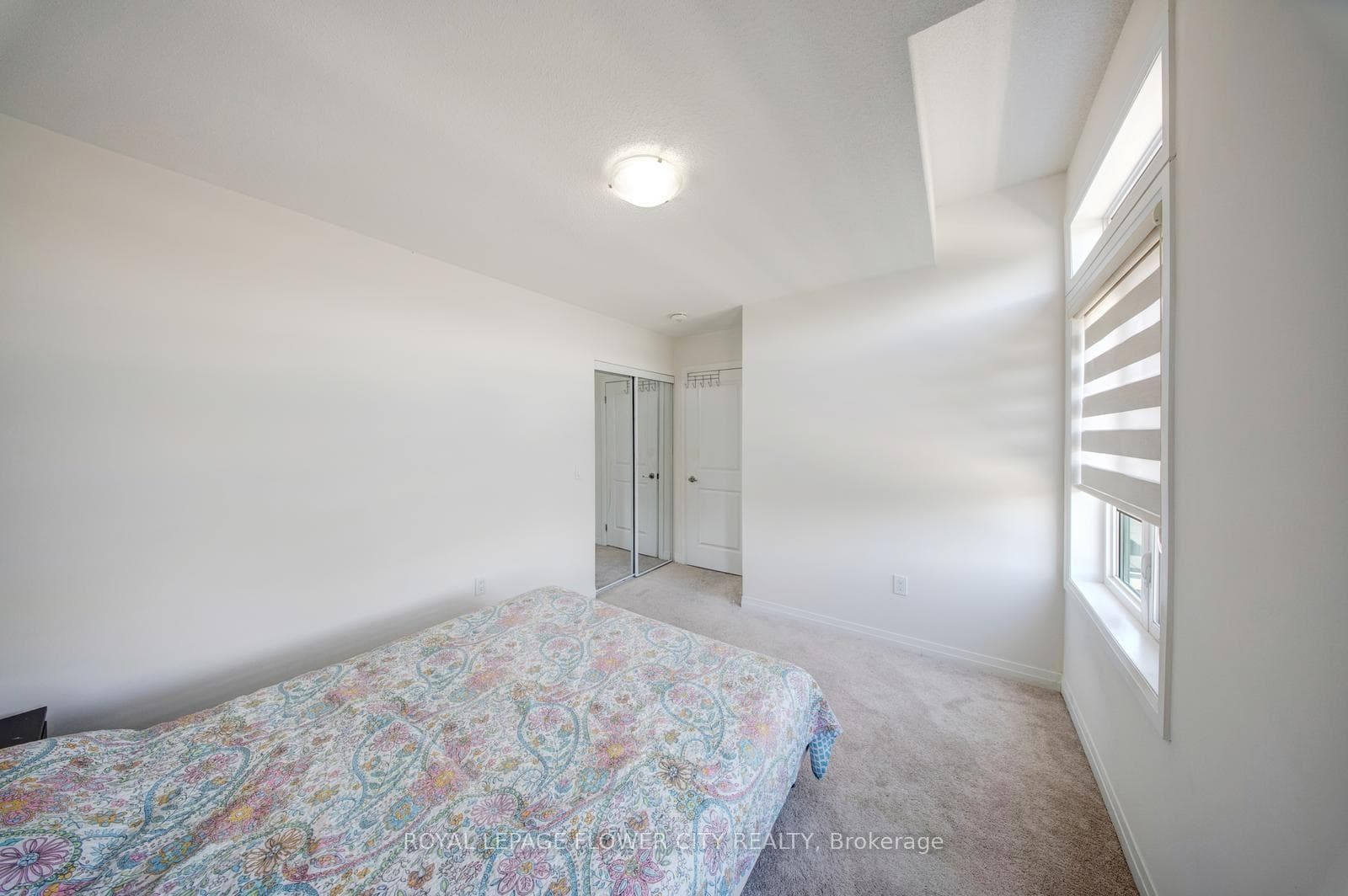 44 Weylie Street photo 37
