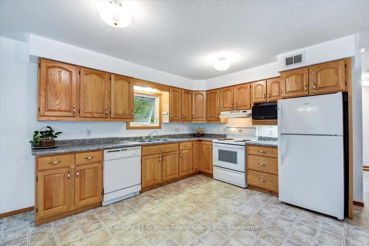 66 Hastings Street photo 6