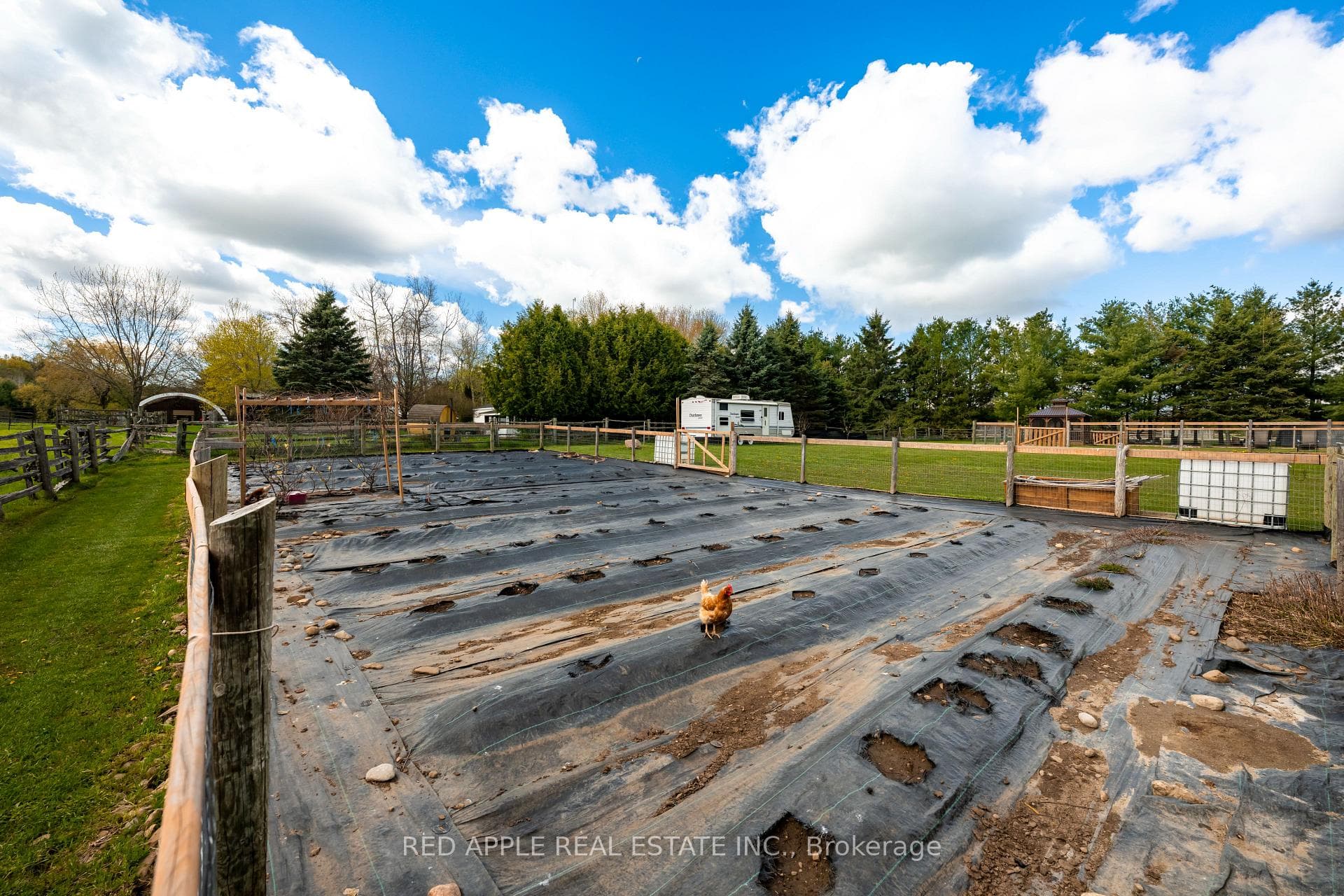 996609 Mulmur-Tosorontio Townline photo 7