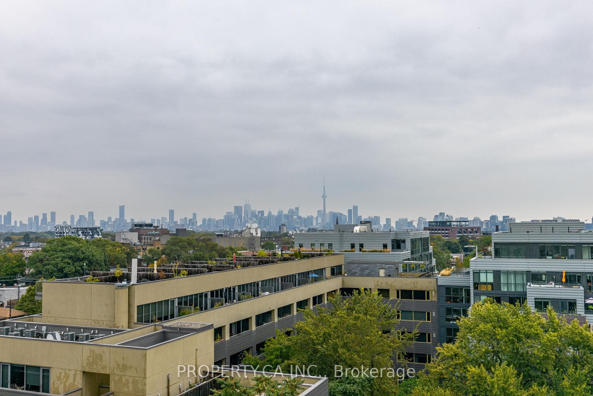 437 Roncesvalles Avenue Unit 211 photo 28