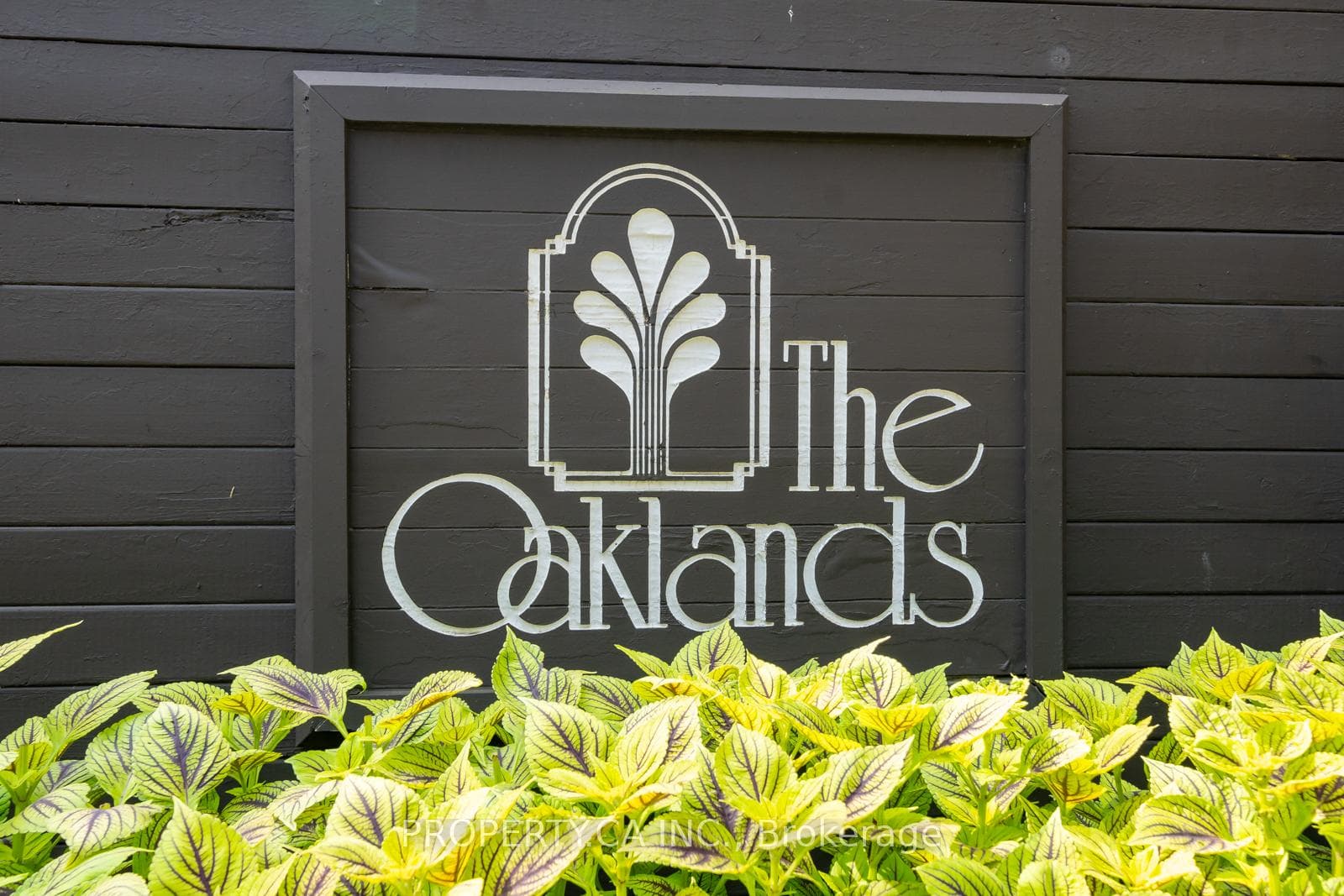 40 Oaklands Avenue Unit 339 photo 39