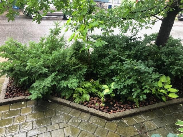 46 Waverley Street photo 49