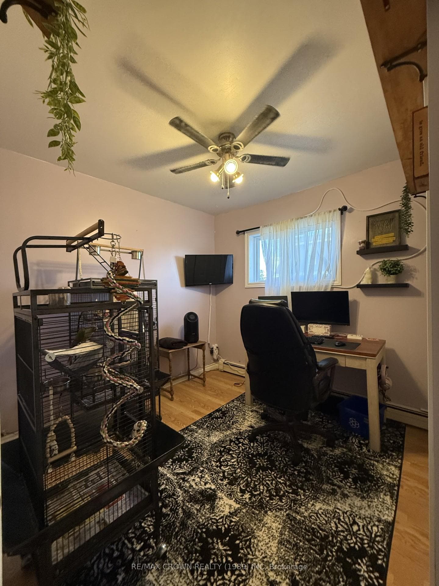 556 & 552 Balsam Street photo 12