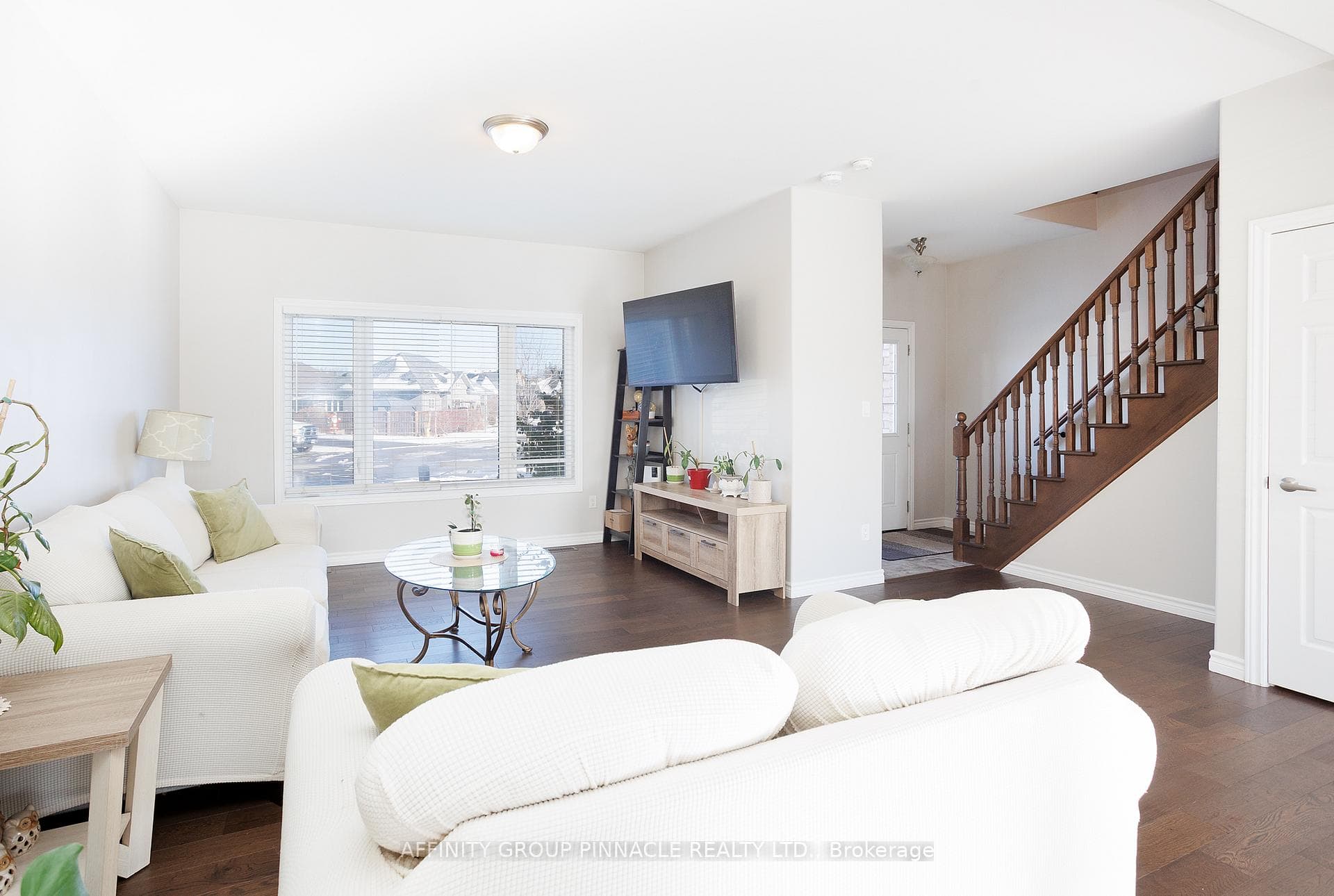 11 Moynes Court photo 7