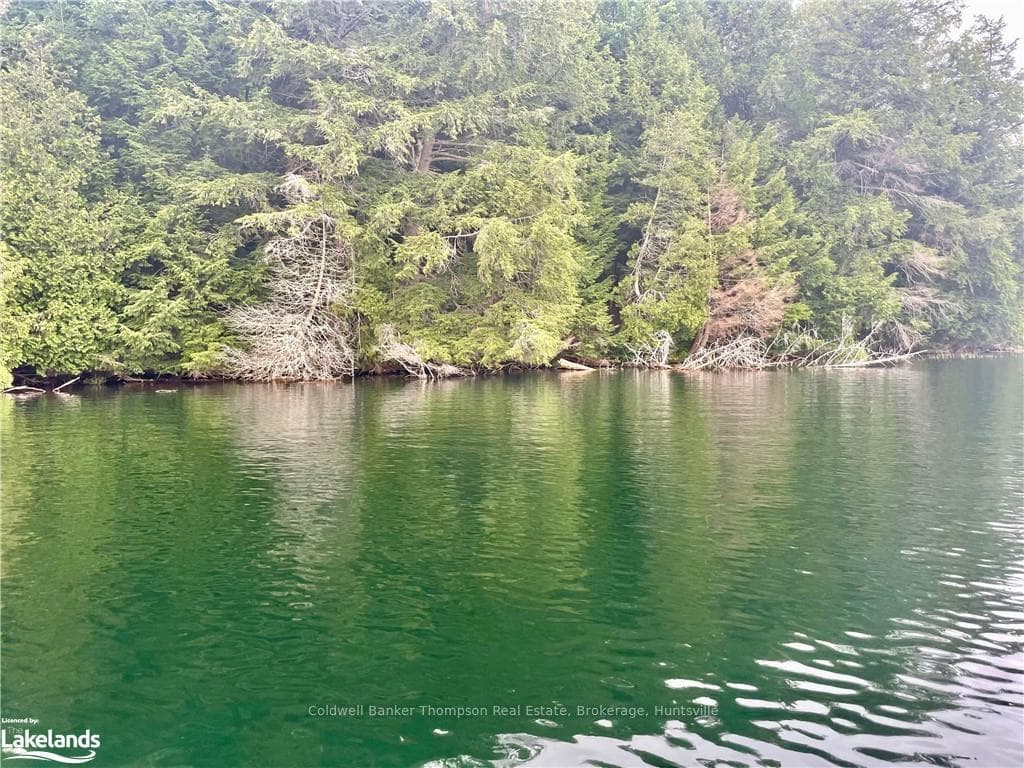 0 ISLAND LAKE N/A photo 1