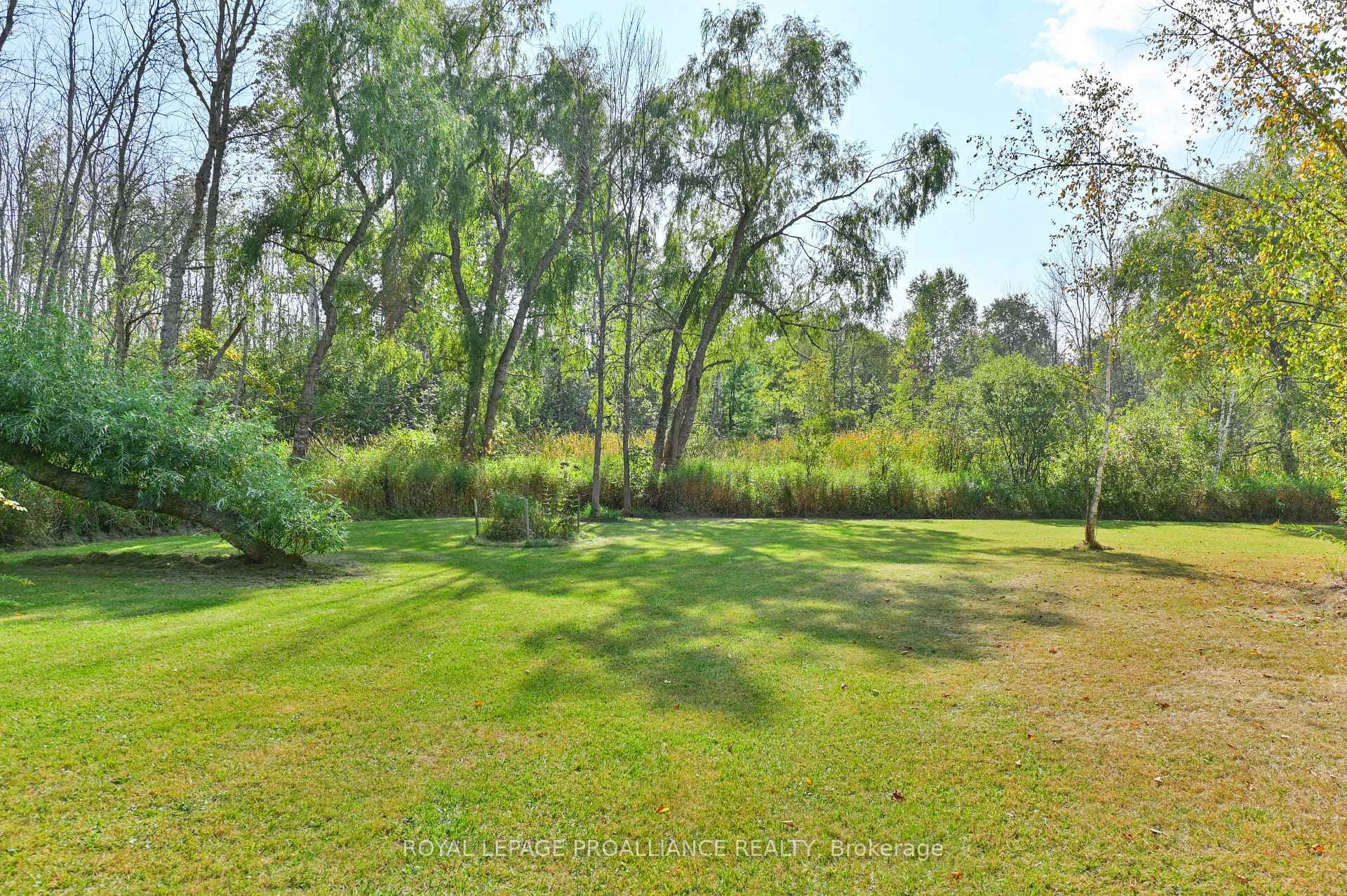 21289 Loyalist Parkway photo 41