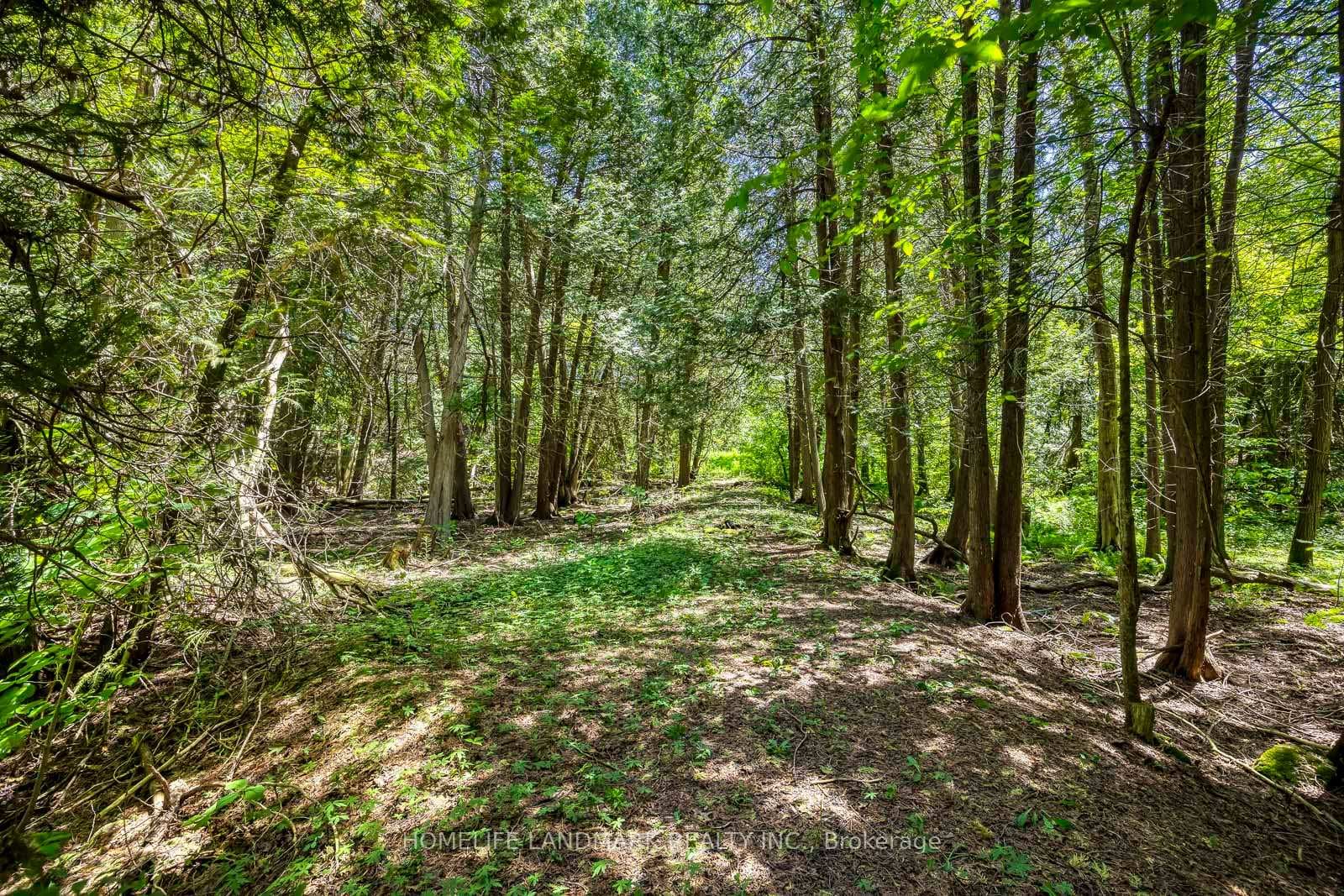 217 Carlisle Road photo 29