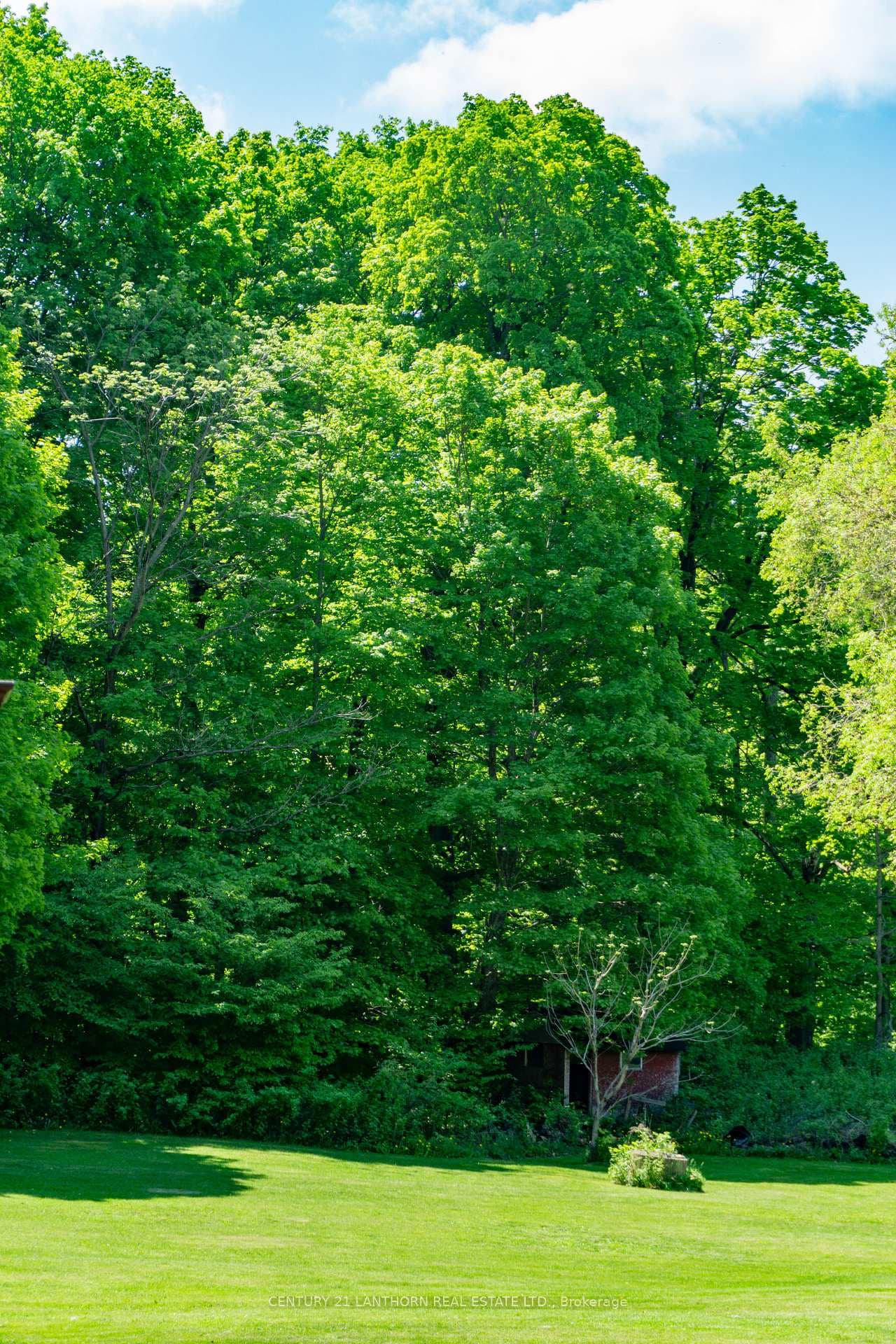 703 County Road 1 Road photo 4