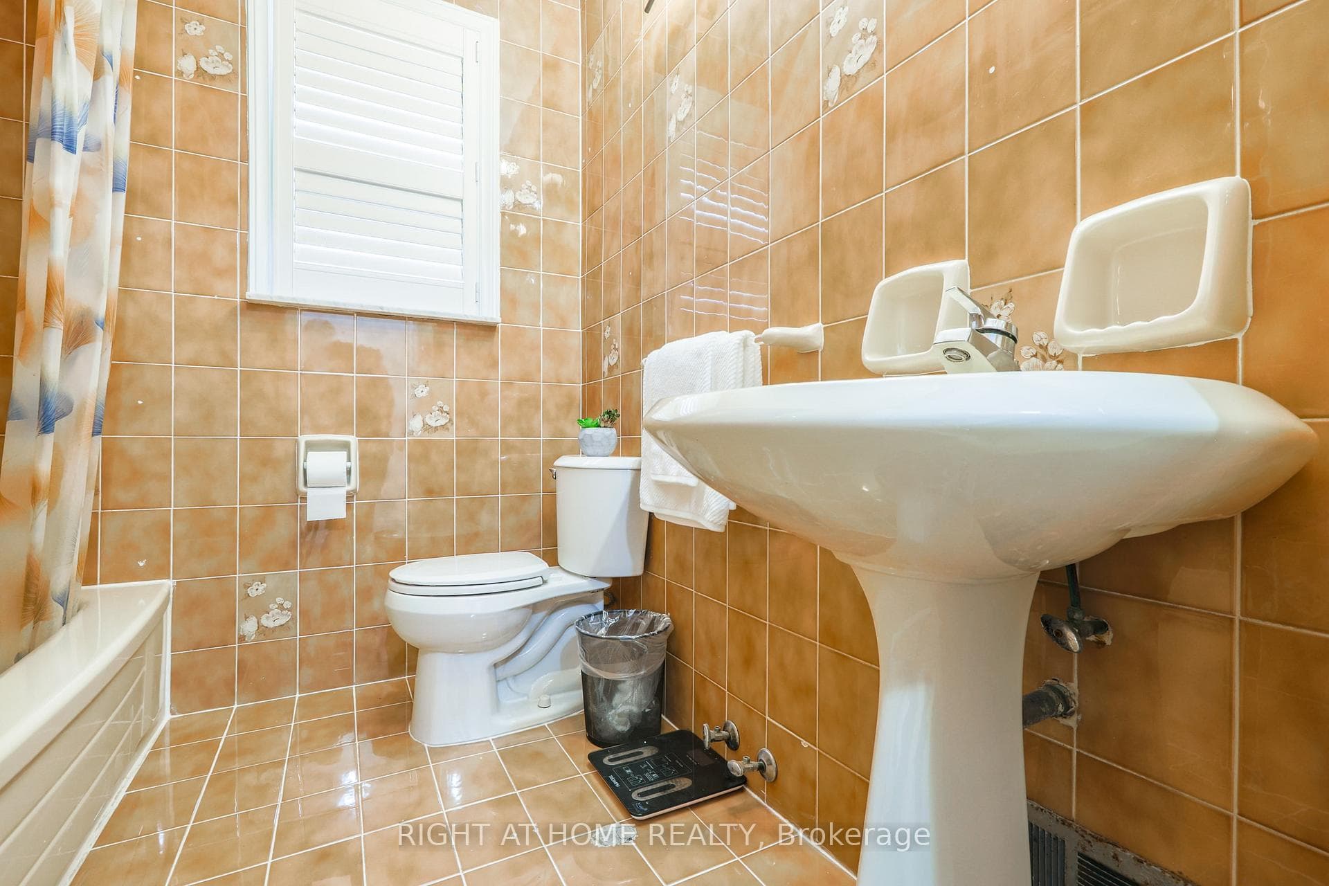 44 Chalkfarm Drive photo 17