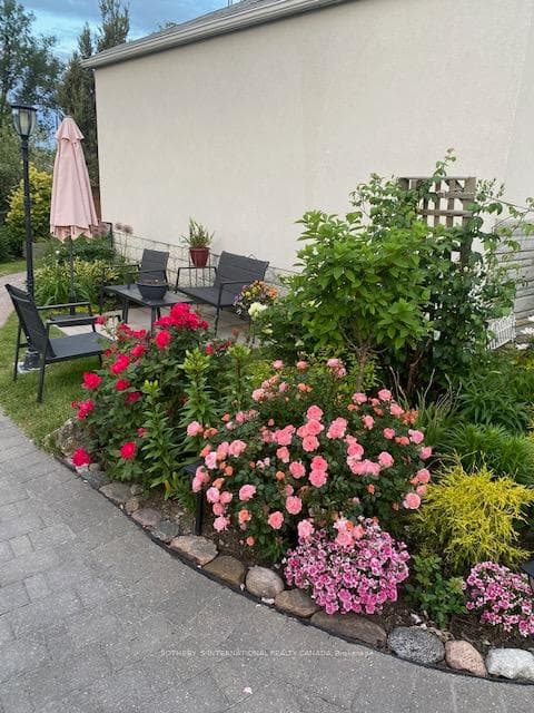 Side patio & beautiful perennial flowers