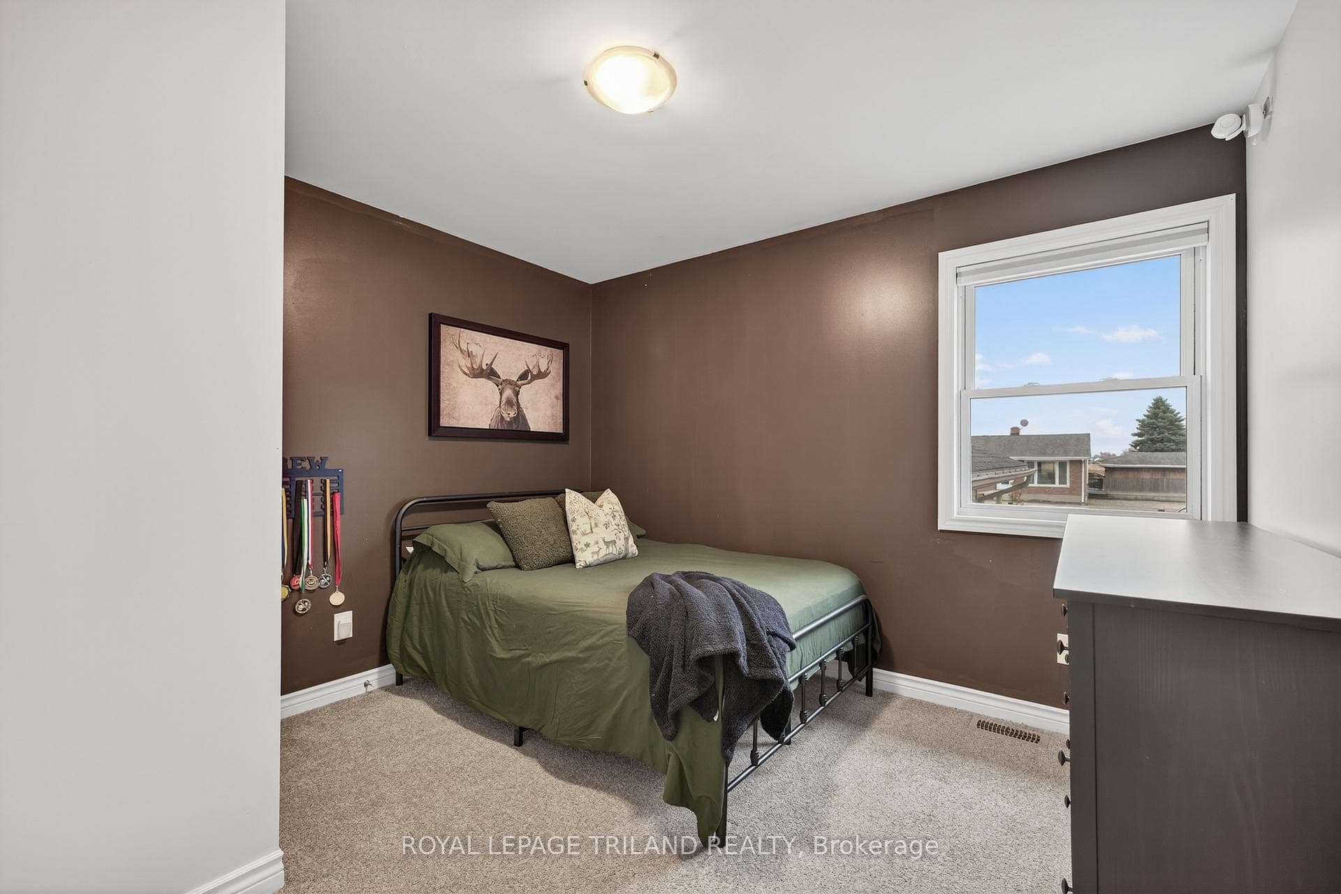 11565 Springfield Road photo 15