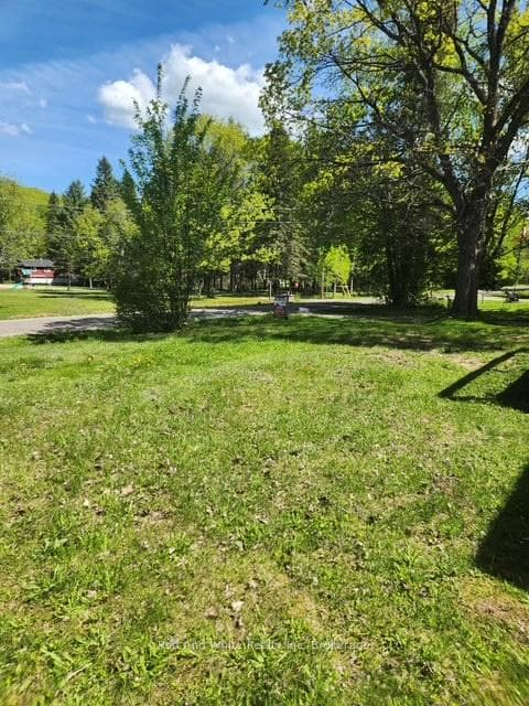 front lawn