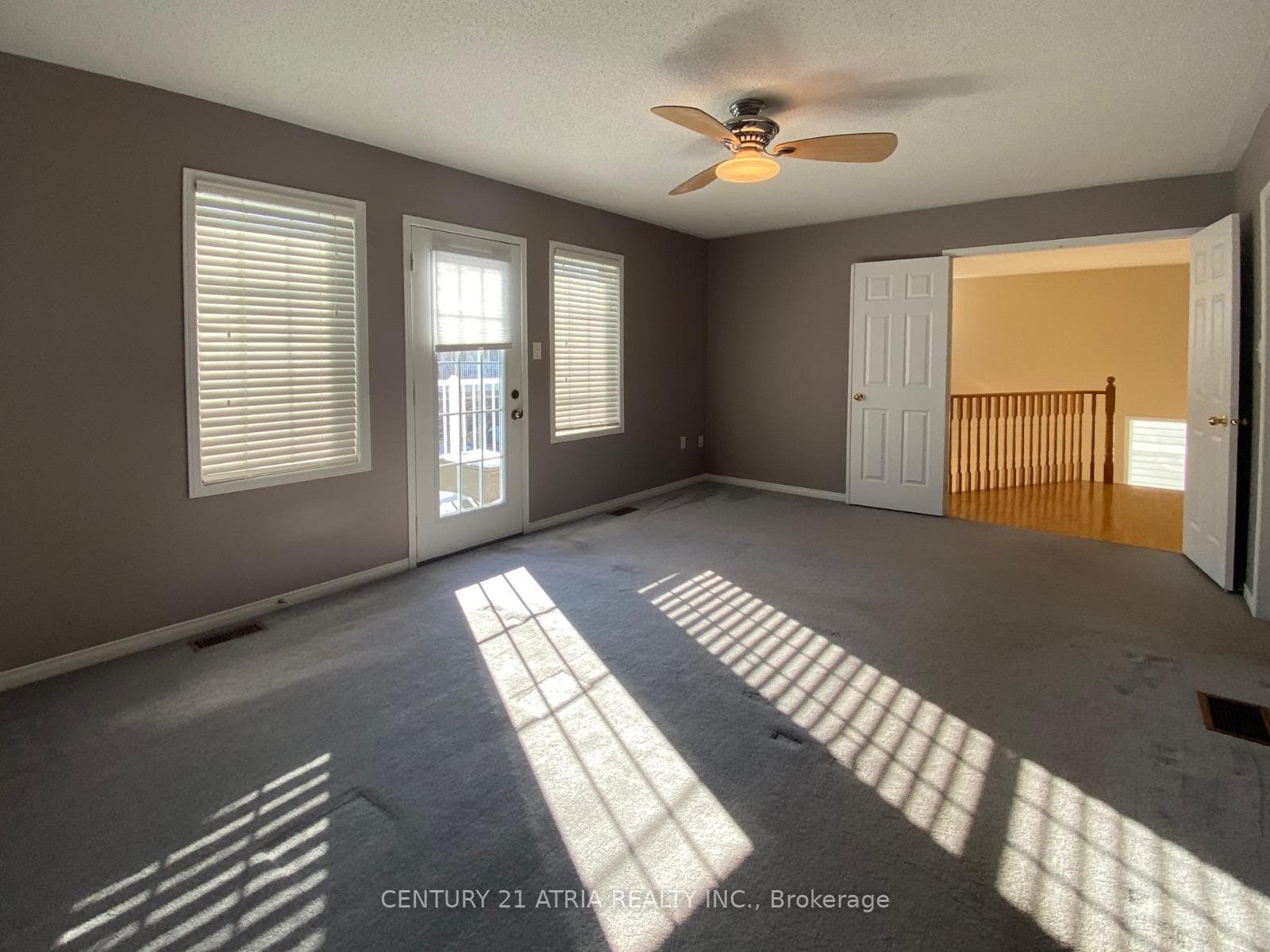 8 Hoile Drive photo 13