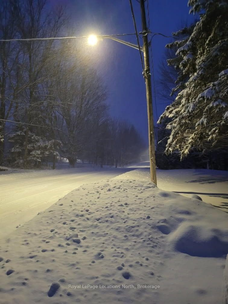 winter wonderland