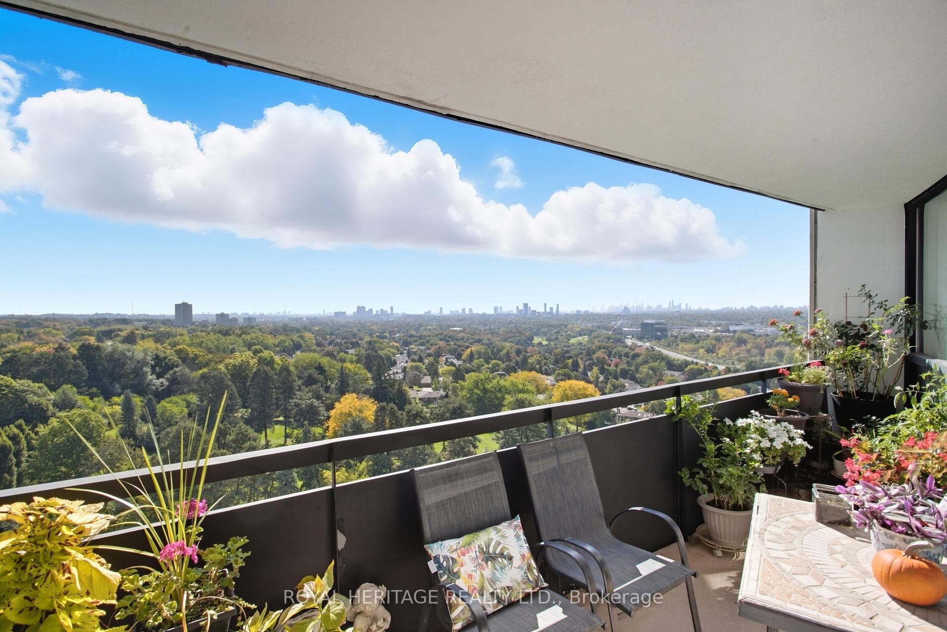 South City Panoramic View