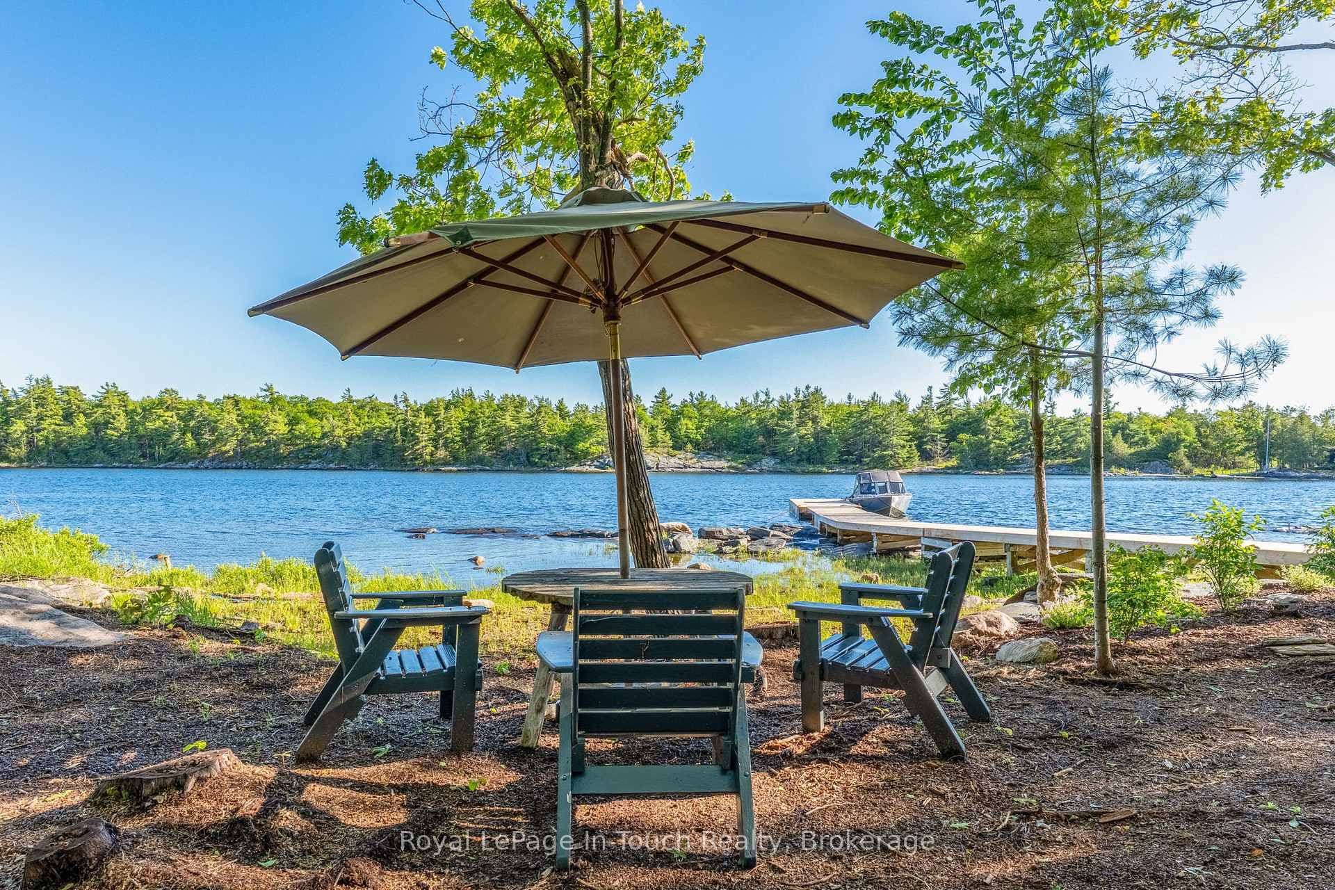 Serene setting at shoreline
