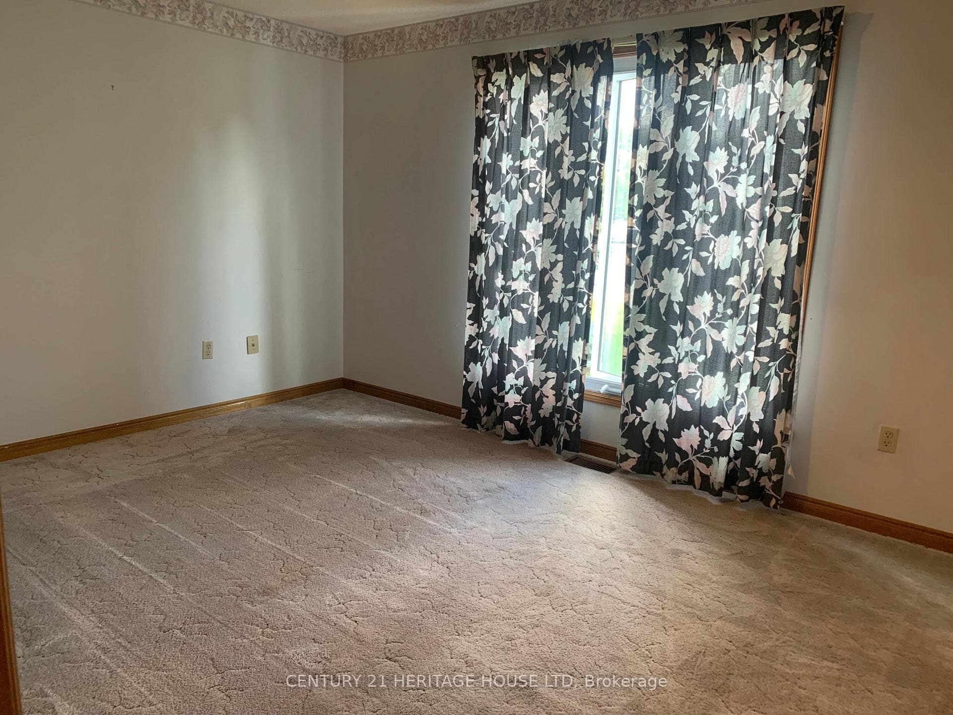 111 Fath Avenue photo 19