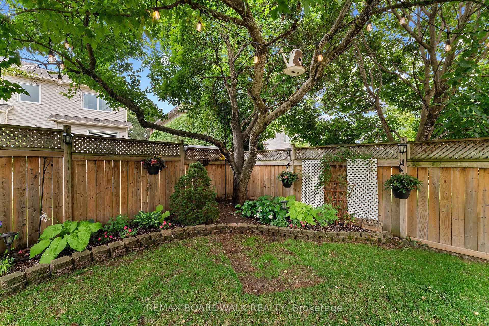 Spectacular large tree for ambience