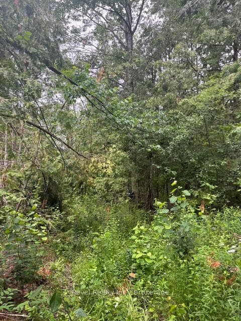 0 LILAC ROAD AT PIGEON LAKE ROAD N/A photo 4