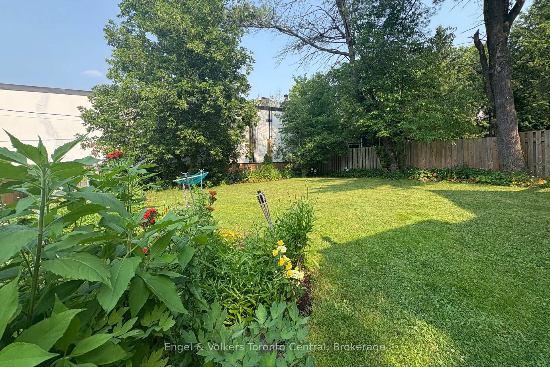 Fenced-In Backyard