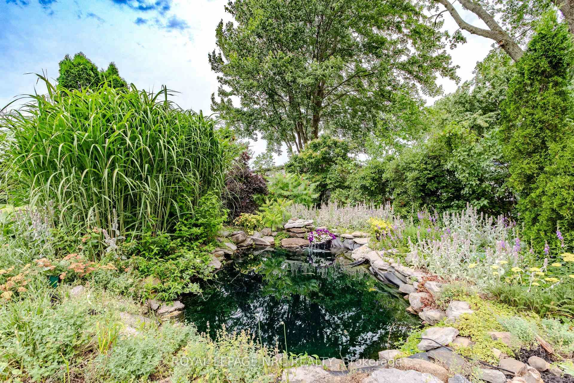 3860 Elm Street photo 32