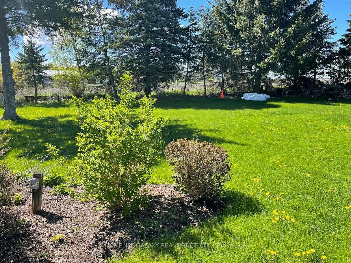 607 Bickle Drive photo 38