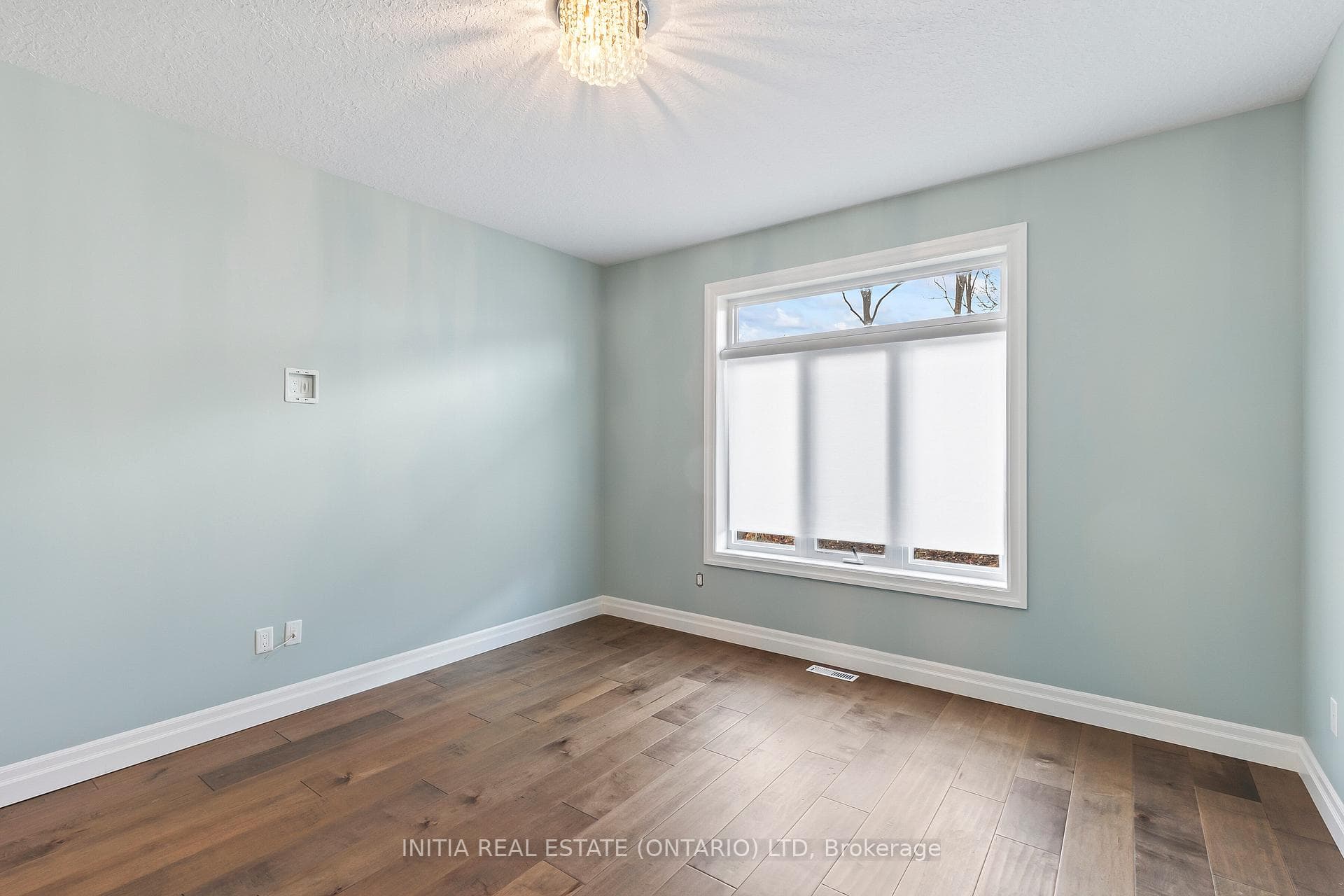 18 Wilson Court photo 18