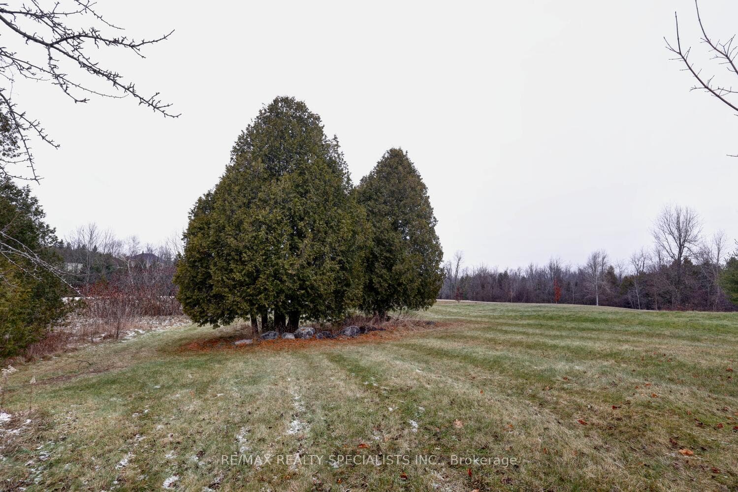 Landscaed Lot Dotted W/Ornamental Trees.