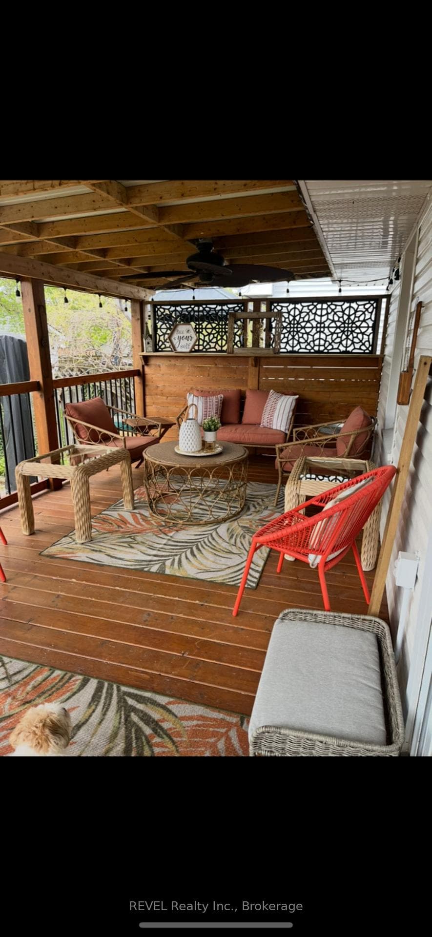 41 Rose Avenue photo 31