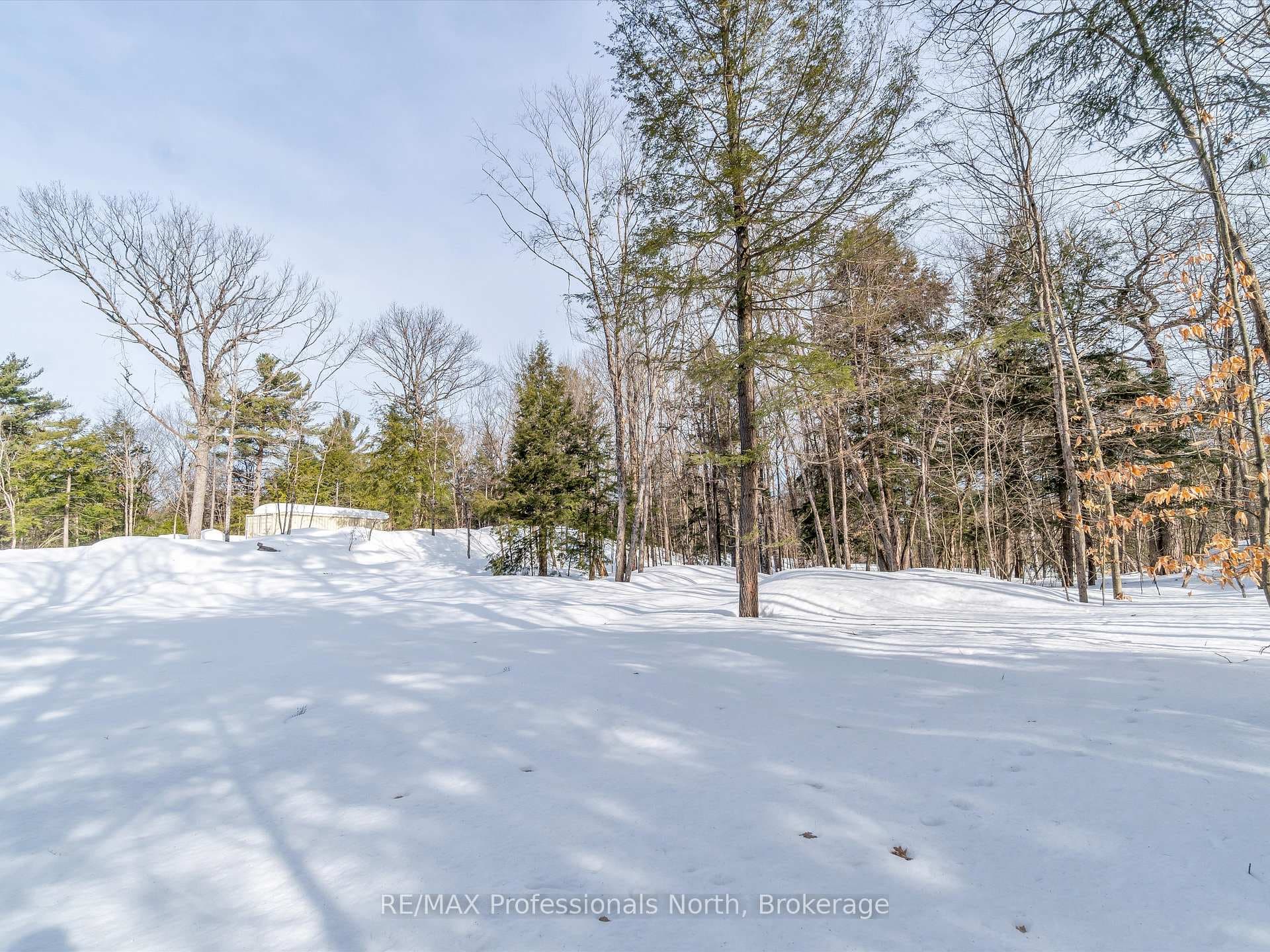 7 MUSKOKA PINES Road photo 43