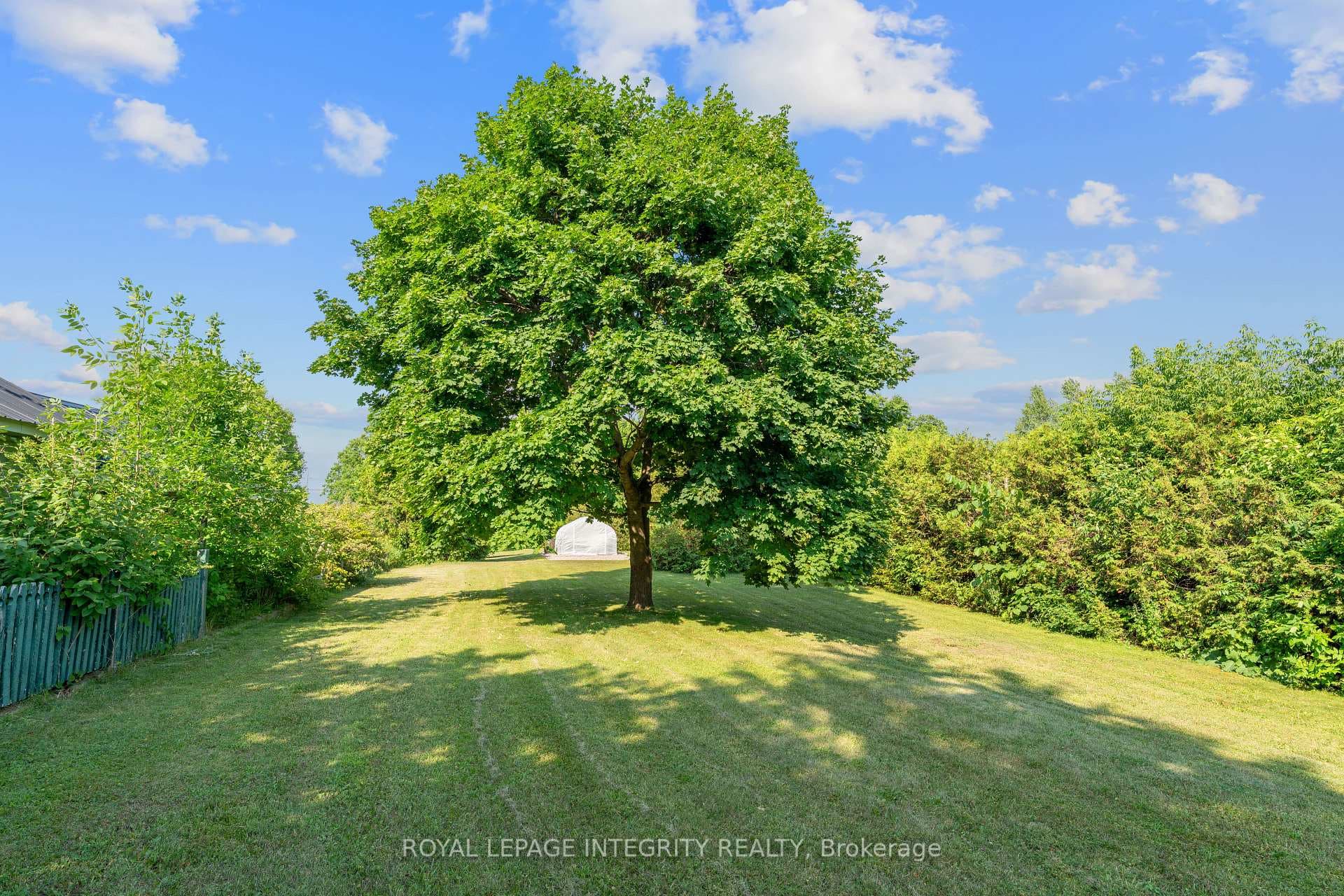 835 Prescott Street photo 29