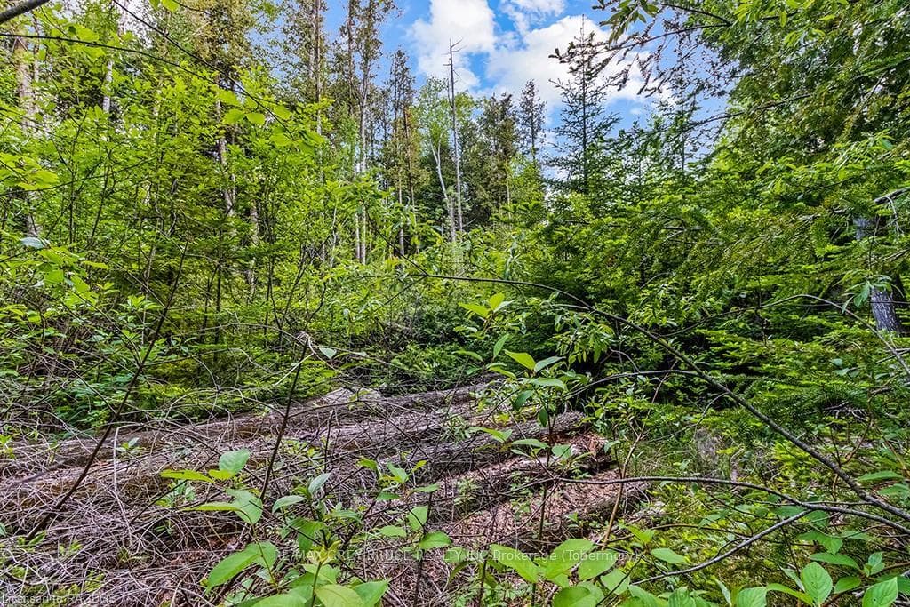 LOT 53 SPRY SHORE Road photo 34