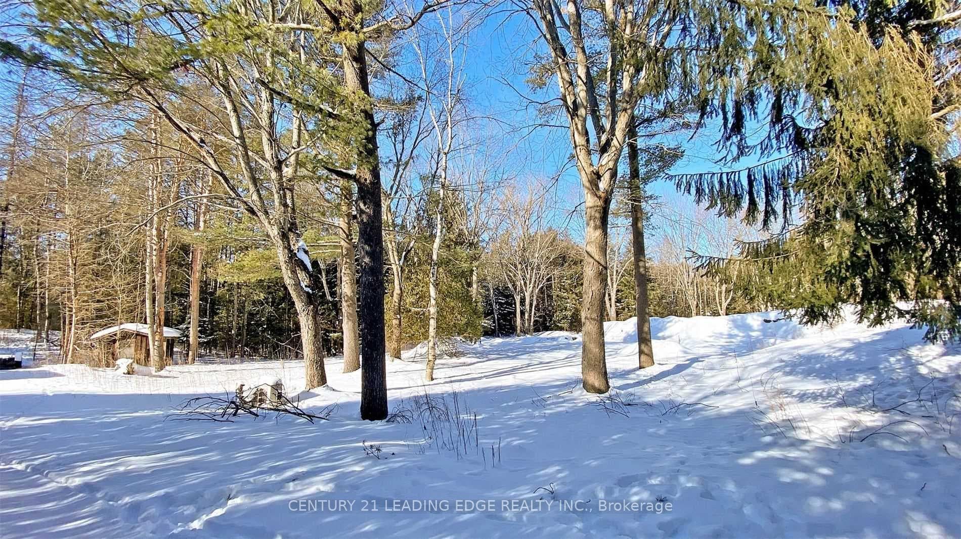 4035 Aurora Road photo 19