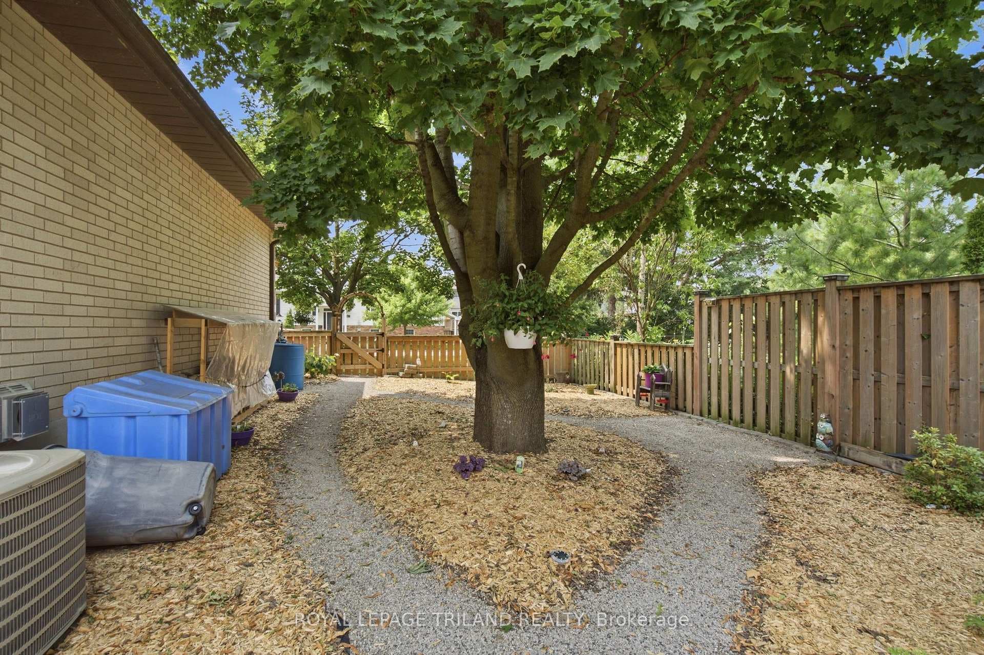 Back yard