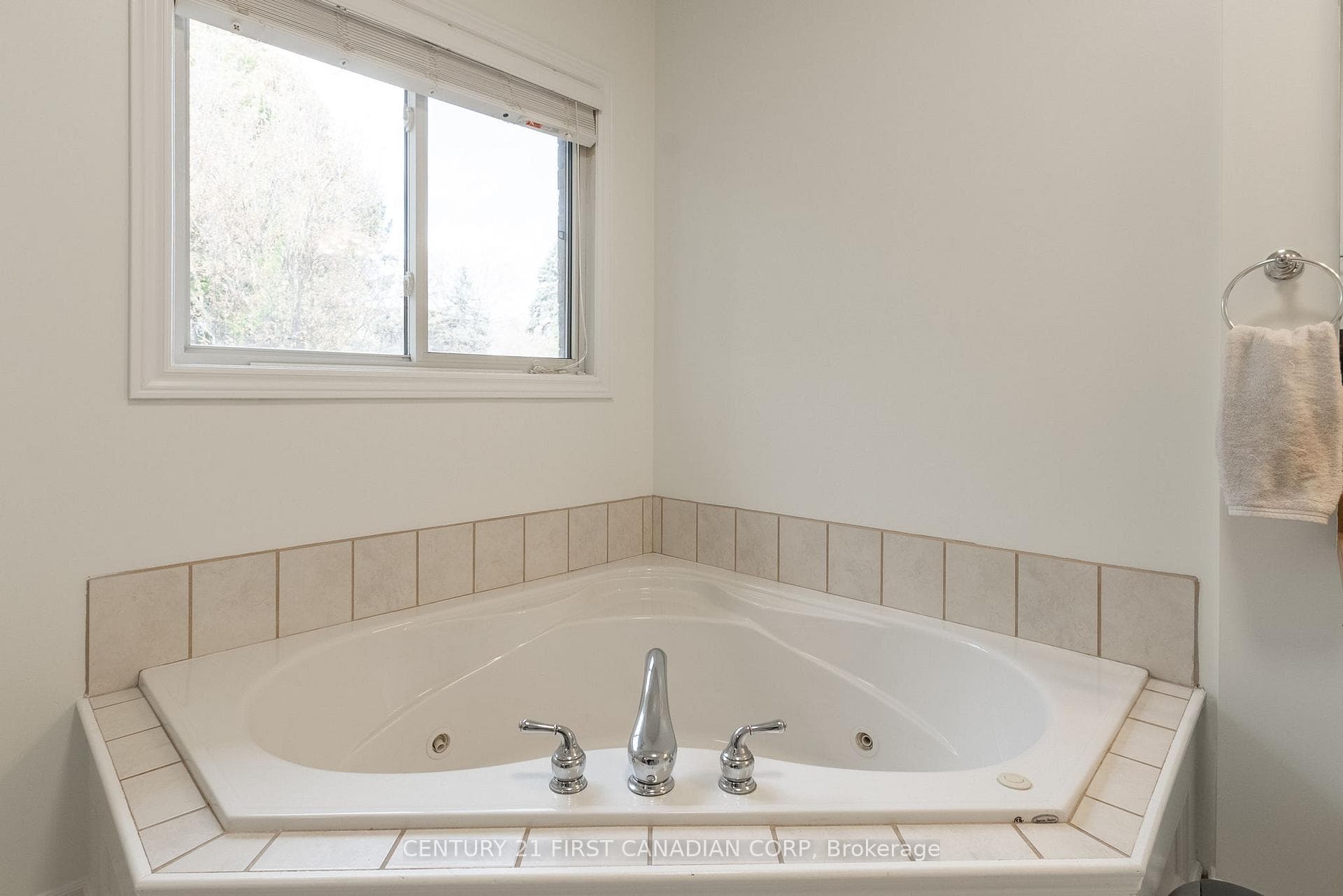 109 Princess Avenue photo 20
