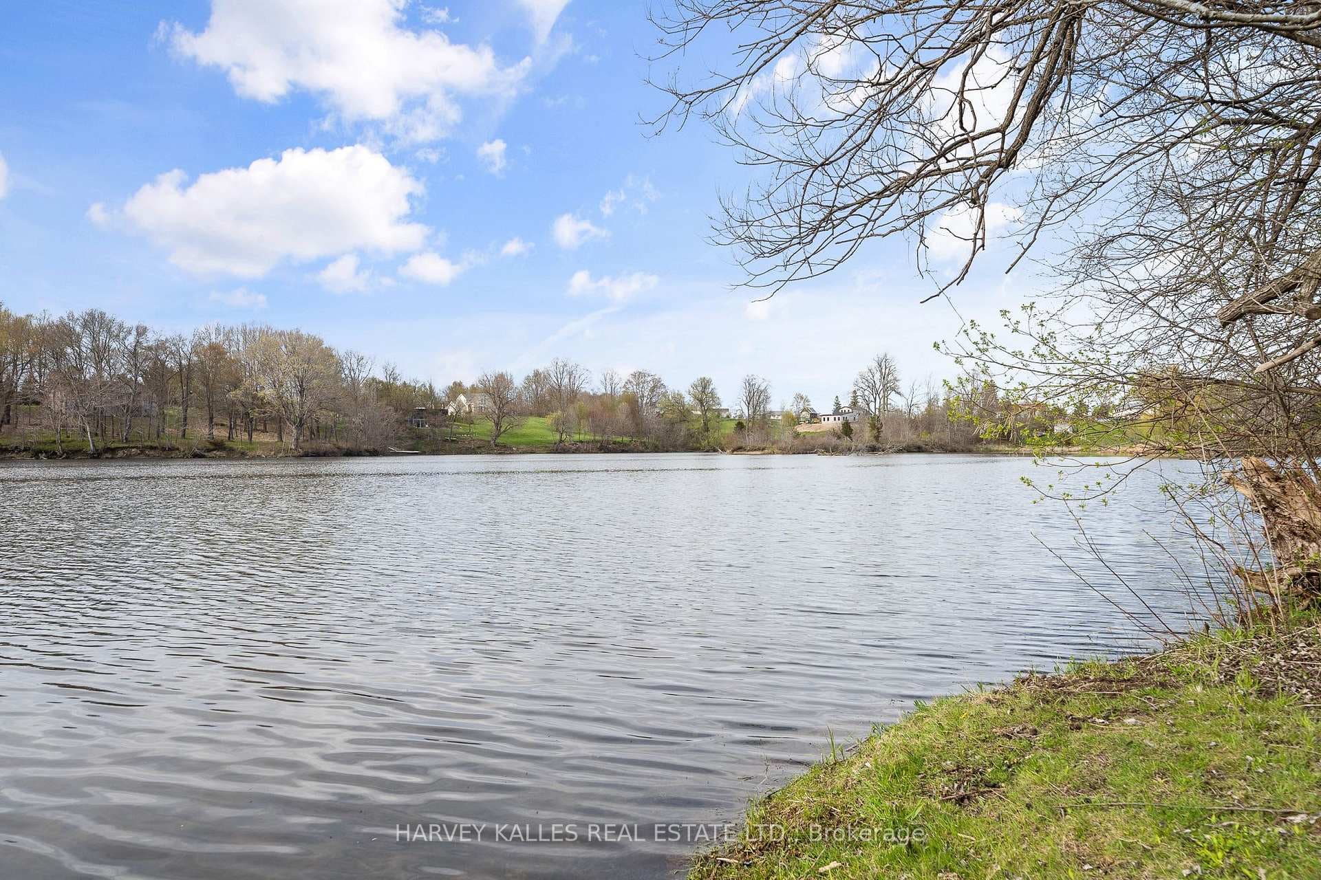 Mill Pond