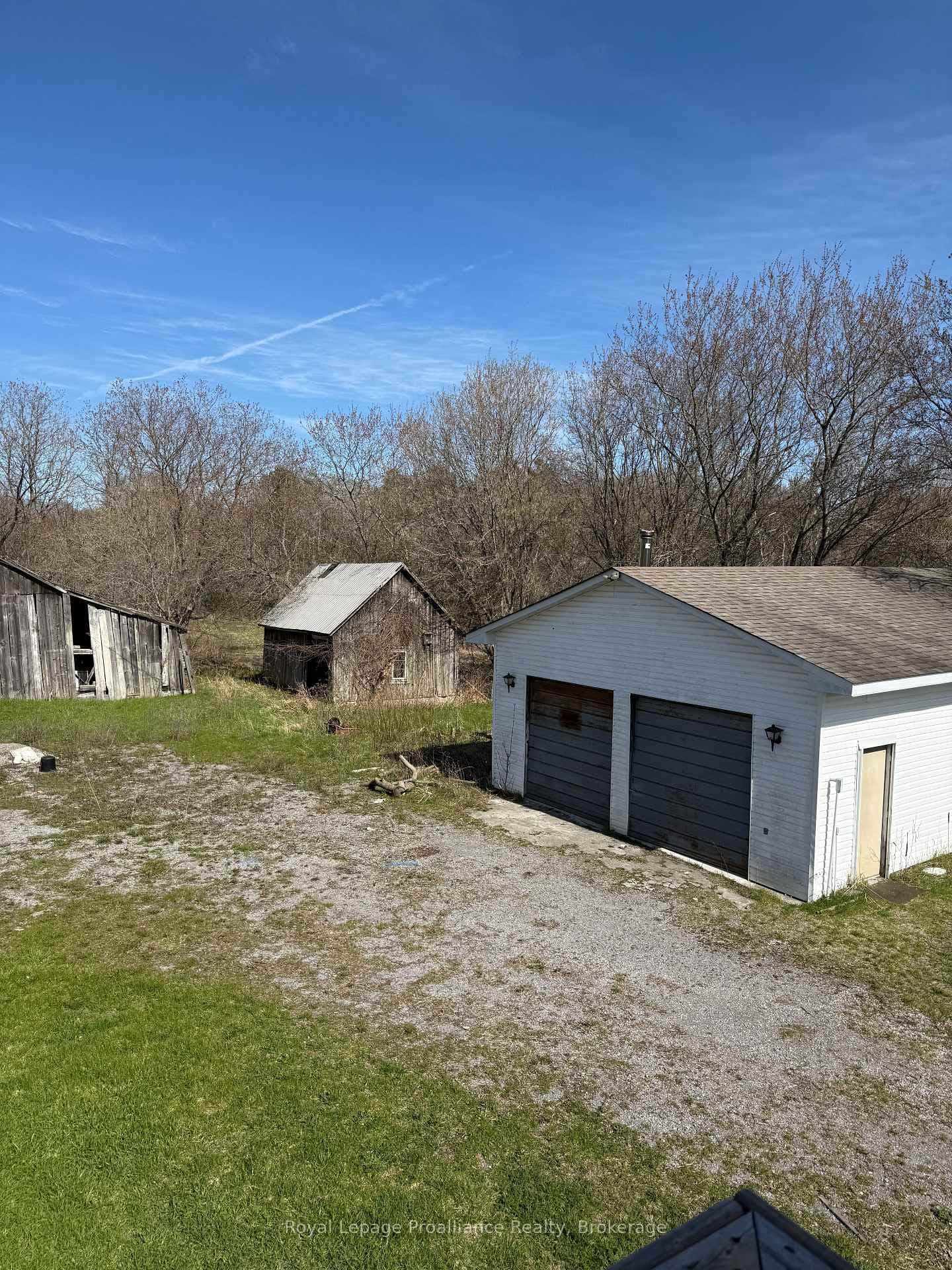 303 Brimley Road photo 10