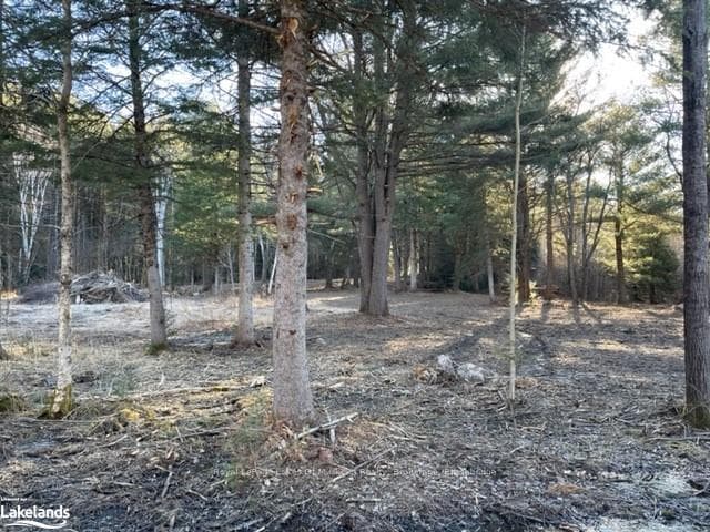 0 MIRIAM Drive photo 29