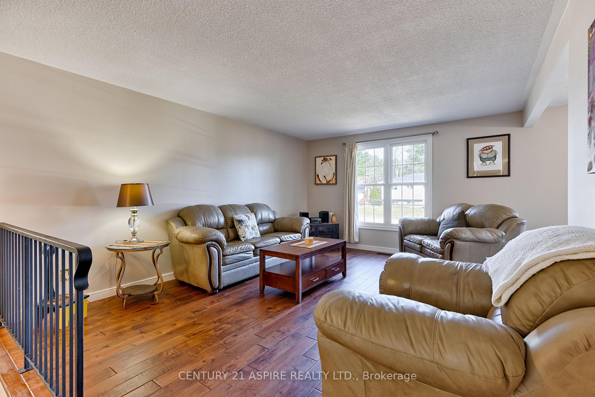 15 Roy Street photo 9