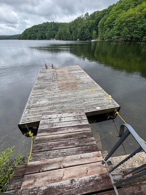 3040 Haliburton Lake Road photo 48