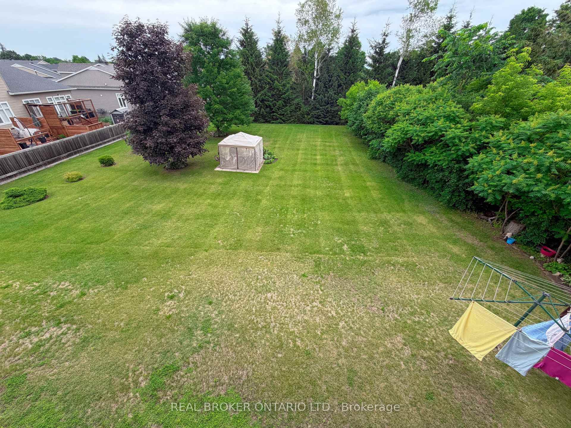 Back Yard, view from the deck