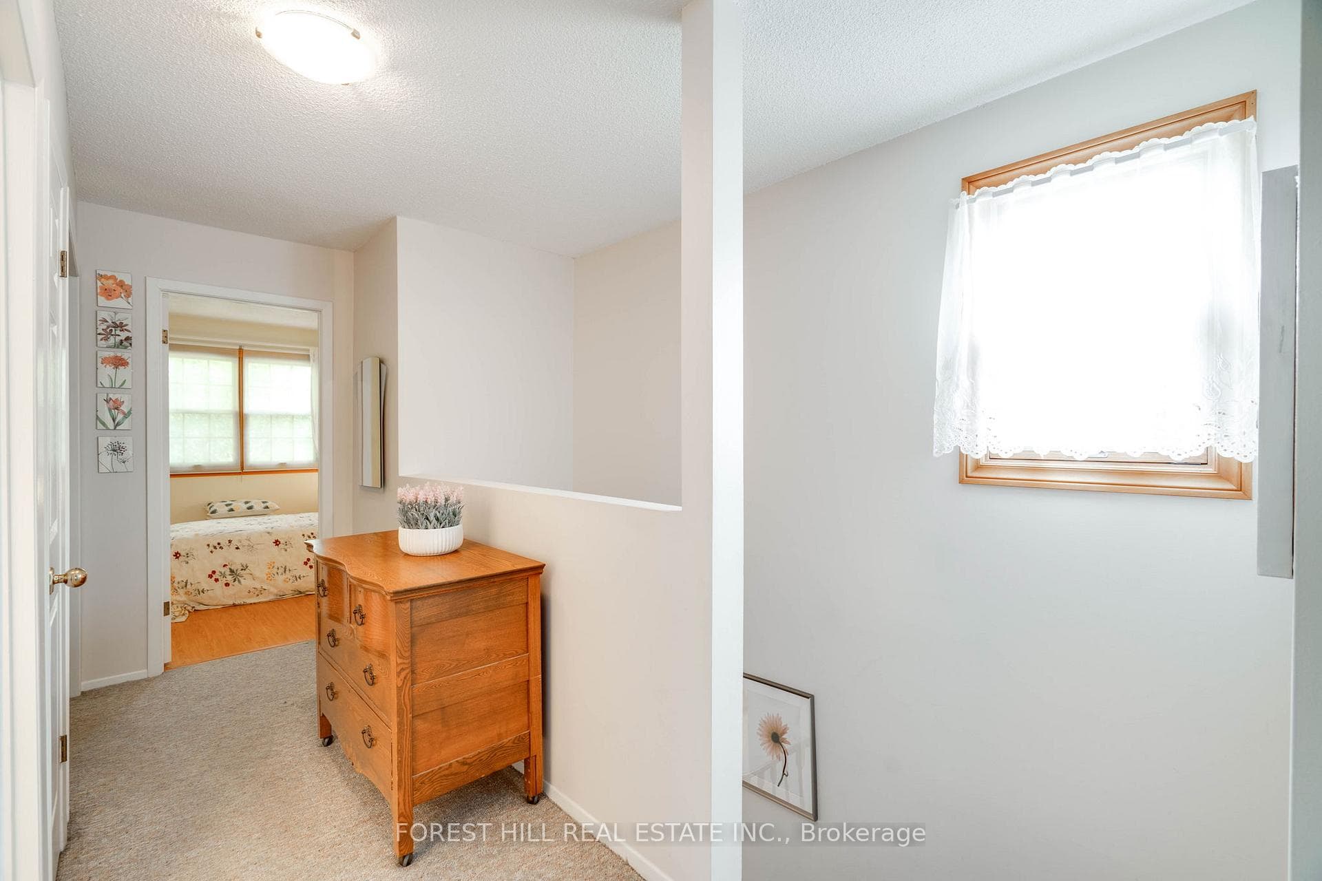 63 Hollyberry Trail photo 28