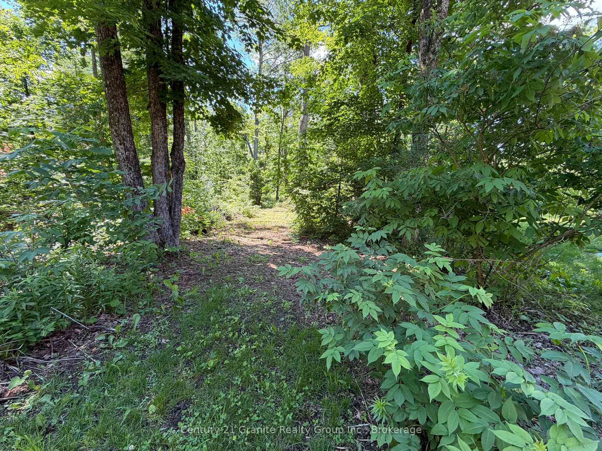 1048 Bacon Road photo 35
