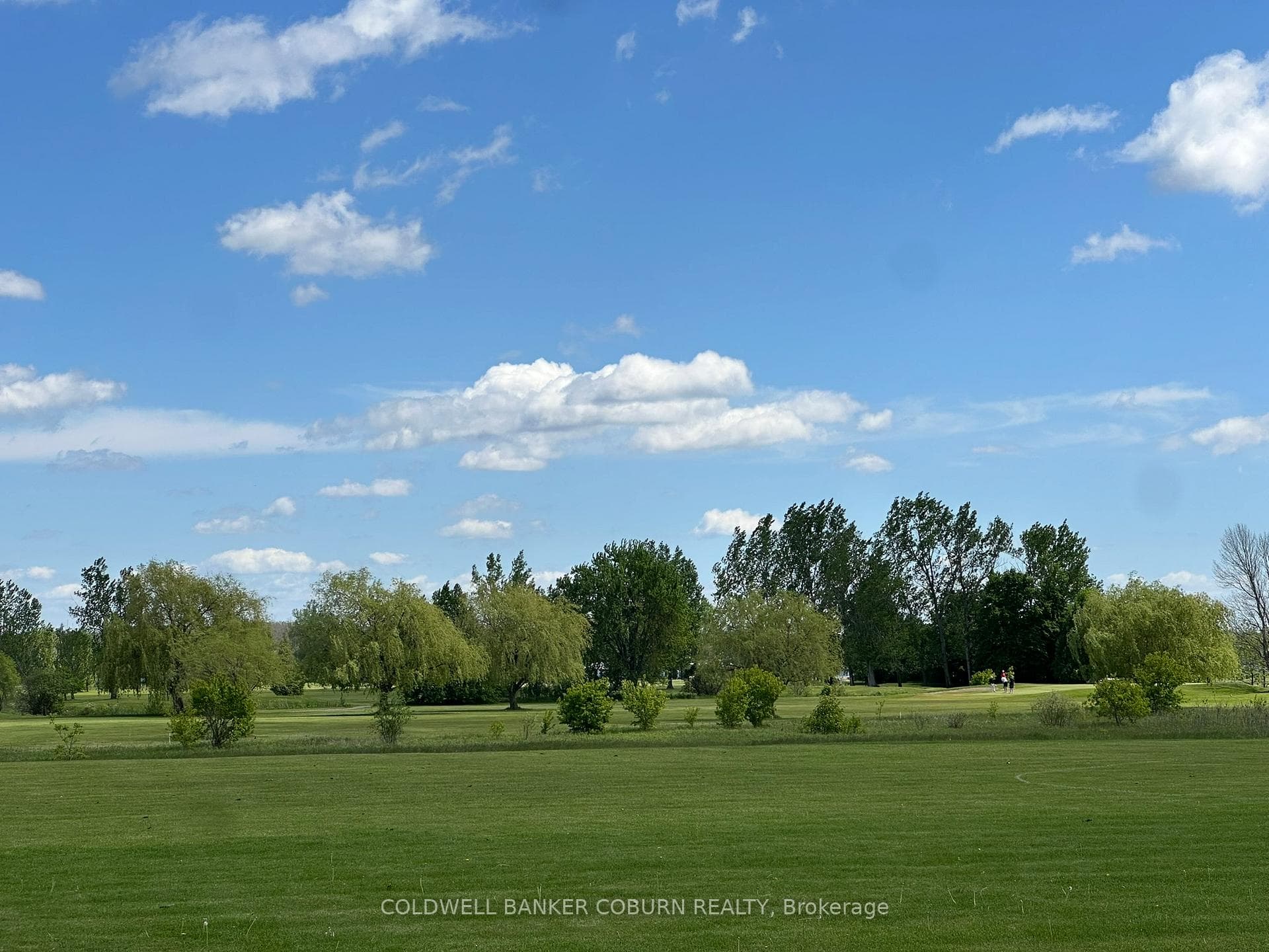View of the golf course