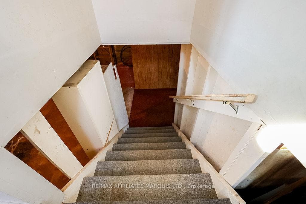 241 Dominion Street photo 36