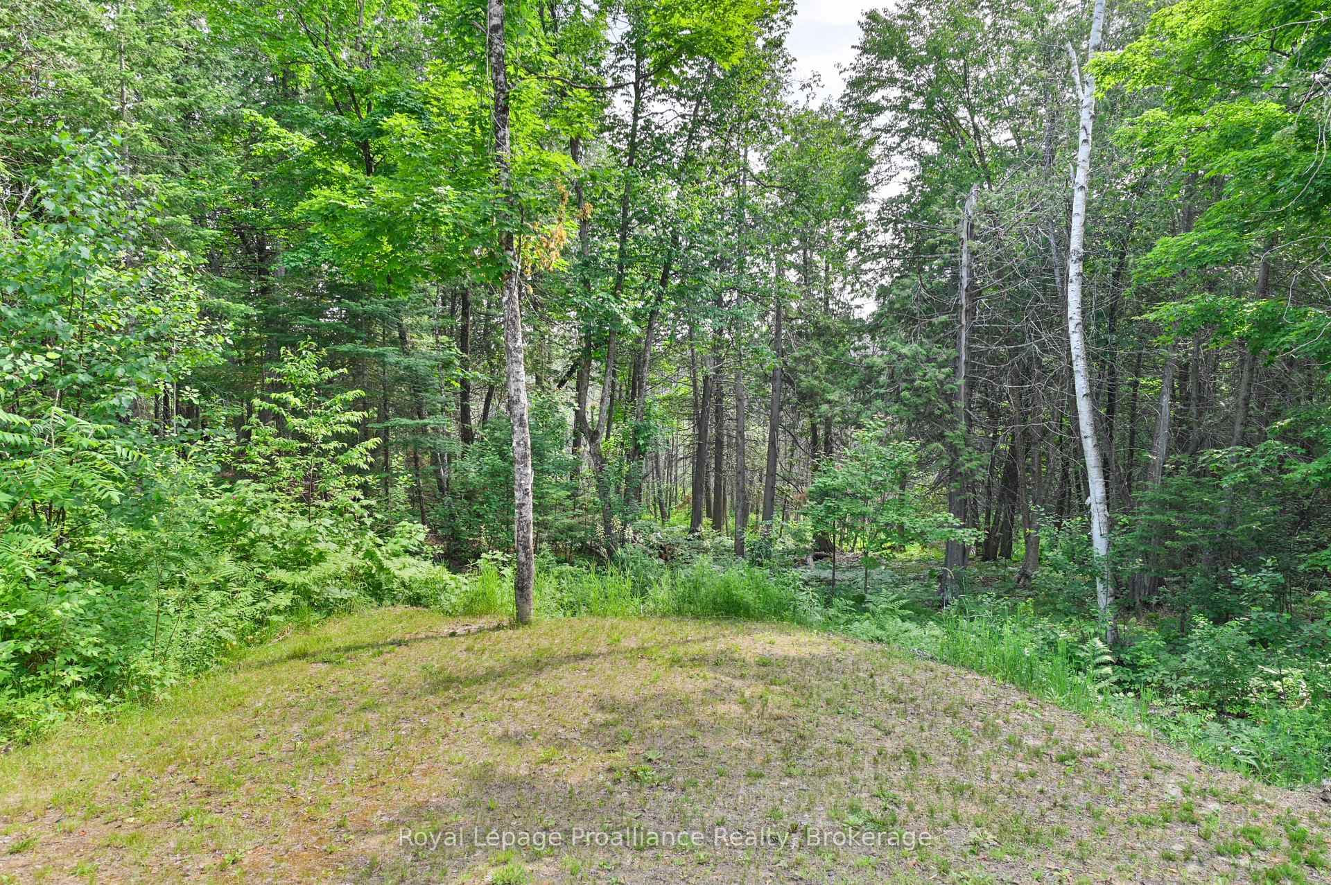 93 Hammond Road photo 39