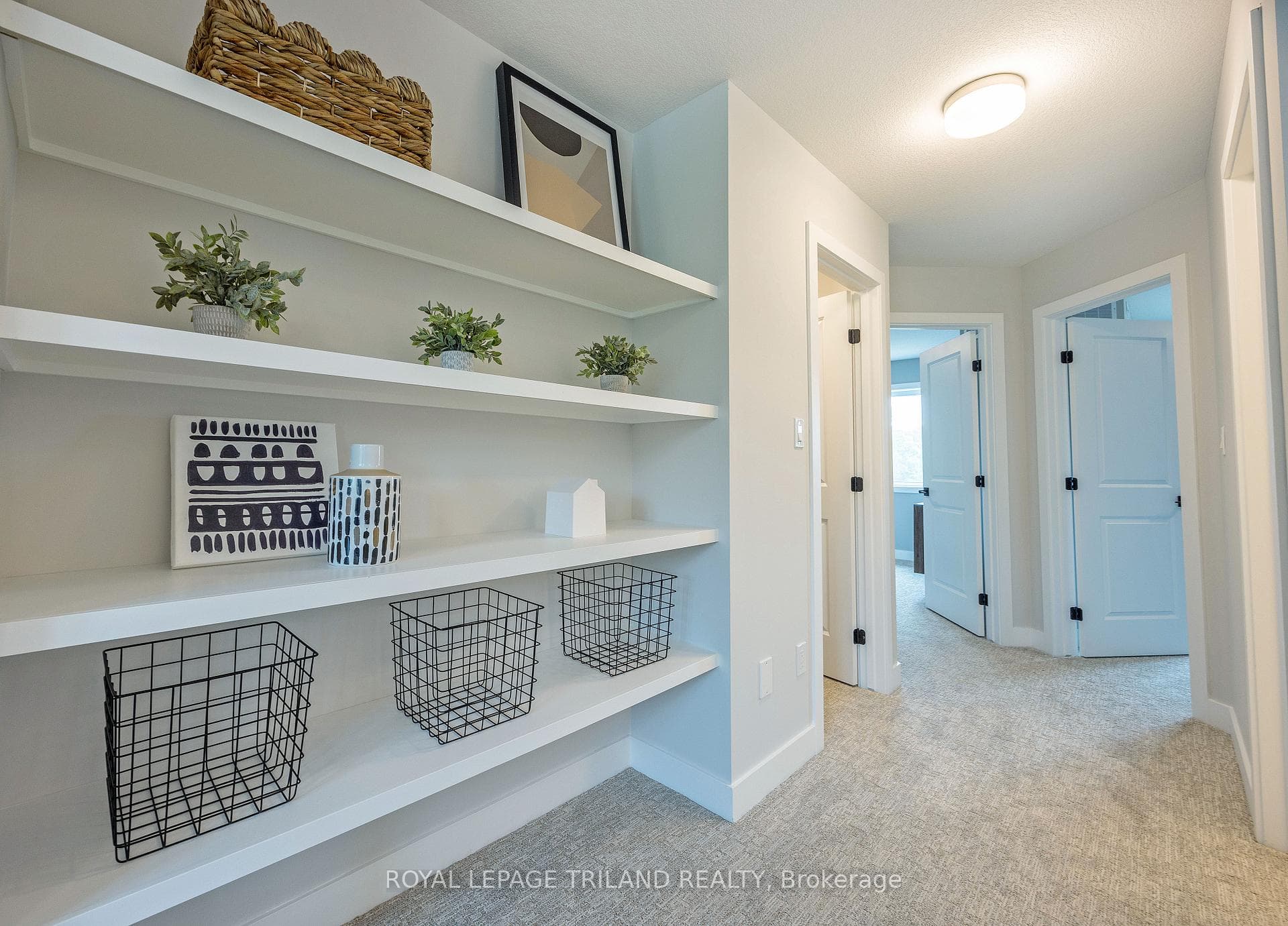 57 WHITE TAIL Path photo 30