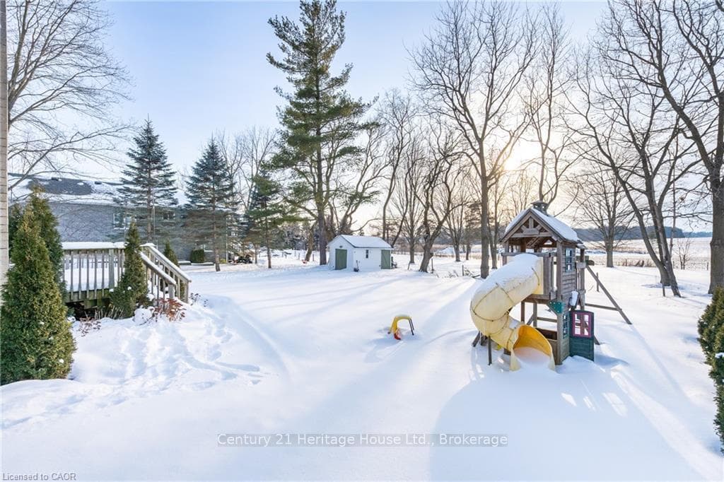 103 Baird Street photo 32