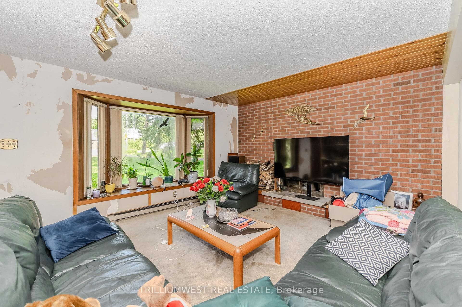 61 Limerick Drive photo 17