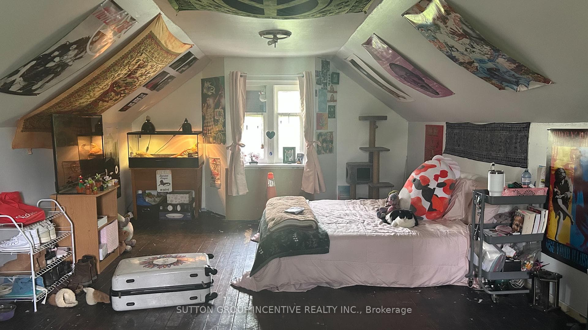 245 Barrie Road photo 9